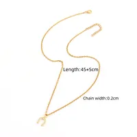 Elegant Simple Style Classic Style Horseshoe 201 Stainless Steel Copper Women's Pendant Necklace sku image 1