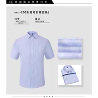 Men's Summer Short - Sleeve 100% Long - Staple Cotton Shirt - Wrinkle - Free Business Formal Office Interview Ready - To - Weartaple Cotton DP Wrinkle - Free Formal Shirt For Business, Office & Professional Interviews main image 2