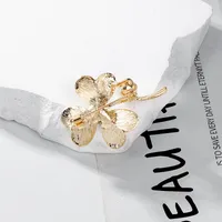 Vacation Simple Style Leaf Alloy Inlay Zircon Leaves Brooches main image 5
