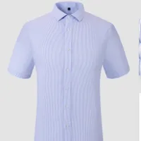 Men's Summer Short - Sleeve 100% Long - Staple Cotton Shirt - Wrinkle - Free Business Formal Office Interview Ready - To - Weartaple Cotton DP Wrinkle - Free Formal Shirt For Business, Office & Professional Interviews main image 1