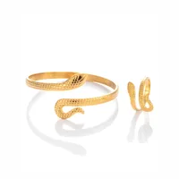 Vintage Style French Style Simple Style Snake 304 Stainless Steel Unisex Jewelry Set main image 5