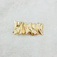 Women's Elegant Leaves Rectangle Alloy Shiny Metallic Plating Pleated Duckbill Clip sku image 3
