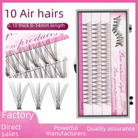 0.1 Natural Single Cluster Feather Chicken Claw Hair Dense Hot Melt Grafting Segmented 10p Simulation False Eyelashes main image 1