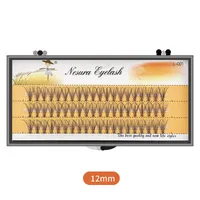 0.1 Natural Single Cluster Feather Chicken Claw Hair Dense Hot Melt Grafting Segmented 10p Simulation False Eyelashes sku image 12