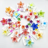 Women's Sweet Flower Plastic Resin Hair Claws main image 1