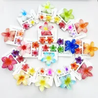 Women's Sweet Flower Plastic Resin Hair Claws main image 3