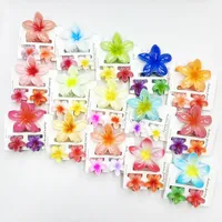 Women's Sweet Flower Plastic Resin Hair Claws main image 4