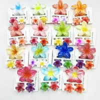 Women's Sweet Flower Plastic Resin Hair Claws main image 5