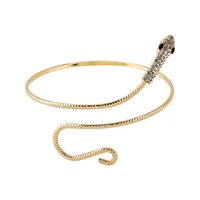 Vintage Style Commute Snake Iron Plating Women's Armband main image 5