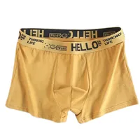 Wholesale Men's Boxer Shorts - Mid Rise, Anti - Bacterial, Breathable & Comfortable - Large Sizes - OEM Manufacturer Direct Supply main image 2