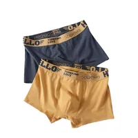 Men's Breathable Sport Underwear Comfortable Boxer Shorts For Youth & Teens, Cotton Blend Casual Trunks main image 5