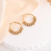 1 Pair Elegant French Style Circle 304 Stainless Steel Earrings main image 9
