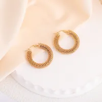 1 Pair Elegant French Style Circle 304 Stainless Steel Earrings main image 10
