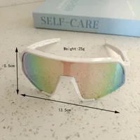 Casual Vacation Sports Glasses Pc Resin Special-Shaped Mirror Avaitor Full Frame Glasses main image 8