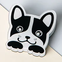 1 Piece Animal Cartoon Class Learning Arylic Cartoon Style Cute Long Tail Clip sku image 2