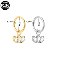 Casual Simple Style Classic Style Geometric Pure Titanium Titanium Alloy Plating Inlay Zircon 14K Gold Plated White Gold Plated Unisex Nose Ring main image 9