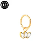 Casual Simple Style Classic Style Geometric Pure Titanium Titanium Alloy Plating Inlay Zircon 14K Gold Plated White Gold Plated Unisex Nose Ring sku image 1