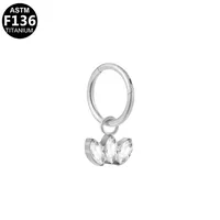 Casual Simple Style Classic Style Geometric Pure Titanium Titanium Alloy Plating Inlay Zircon 14K Gold Plated White Gold Plated Unisex Nose Ring sku image 4