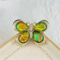 Basic Insect Alloy Inlay Zircon Women's Brooches main image 2