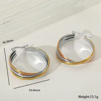 1 Pair Elegant Simple Style Artistic Geometric Color Block Mixed Metal 304 Stainless Steel 18K Gold Plated Hoop Earrings sku image 1