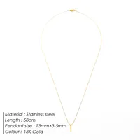 Hip-Hop Simple Style Geometric 316 Stainless Steel  Plating 18K Gold Plated White Gold Plated Unisex Pendant Necklace main image 2
