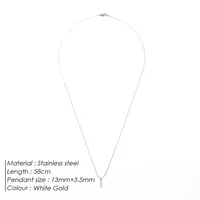 Hip-Hop Simple Style Geometric 316 Stainless Steel  Plating 18K Gold Plated White Gold Plated Unisex Pendant Necklace sku image 2