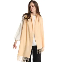 Women's Elegant Solid Color Imitation Cashmere Scarf sku image 11