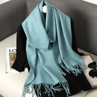 Women's Elegant Solid Color Imitation Cashmere Scarf sku image 21