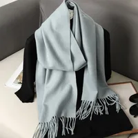 Women's Elegant Solid Color Imitation Cashmere Scarf sku image 22