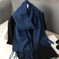 Women's Elegant Solid Color Imitation Cashmere Scarf sku image 28