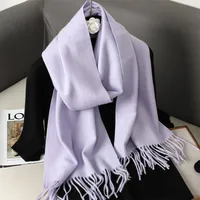 Women's Elegant Solid Color Imitation Cashmere Scarf sku image 34