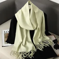 Women's Elegant Solid Color Imitation Cashmere Scarf sku image 39