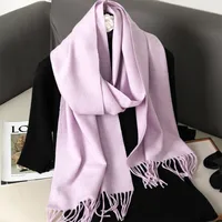 Women's Elegant Solid Color Imitation Cashmere Scarf sku image 43