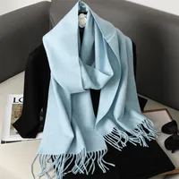 Women's Elegant Solid Color Imitation Cashmere Scarf sku image 48