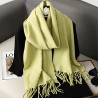Women's Elegant Solid Color Imitation Cashmere Scarf sku image 54