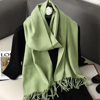 Women's Elegant Solid Color Imitation Cashmere Scarf sku image 55
