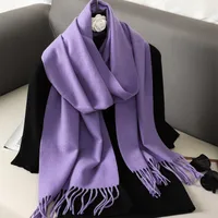 Women's Elegant Solid Color Imitation Cashmere Scarf sku image 56