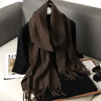 Women's Elegant Solid Color Imitation Cashmere Scarf sku image 57