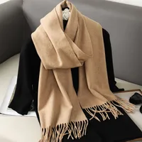 Women's Elegant Solid Color Imitation Cashmere Scarf sku image 58