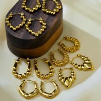 1 Set 1 Pair Elegant Irregular Irregular 304 Stainless Steel 18K Gold Plated Earrings main image 4