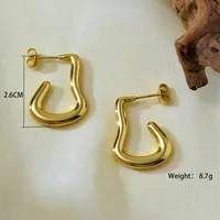 1 Set 1 Pair Elegant Irregular 304 Stainless Steel Earrings main image 2