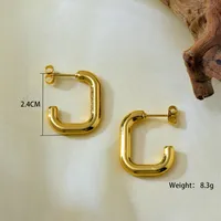 1 Set 1 Pair Elegant Irregular 304 Stainless Steel Earrings main image 3