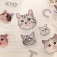 3 Sheets Per Pack Cat Learning School PVC Paper Cute Stickers main image 5