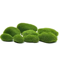 1 Piece Oval Park PE Polylon Casual main image 2