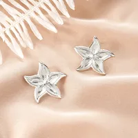1 Pair Retro Classic Style Geometric Irregular Plating Titanium Steel Ear Studs sku image 9
