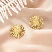 1 Pair Retro Classic Style Geometric Irregular Plating Titanium Steel Ear Studs sku image 38