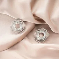 1 Pair Retro Classic Style Geometric Irregular Plating Titanium Steel Ear Studs sku image 34