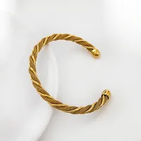 Vacation Classic Style Solid Color Titanium Steel Polishing Women's Bangle sku image 14