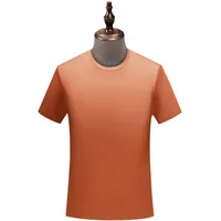5A Antibacterial Ice Silk Seamless T-shirt Custom Printing Summer Nylon High Elastic Ice Feeling Short Sleeve Round Neck Custom Printed Logo main image 1