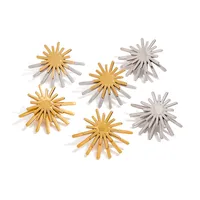 Basic Modern Style Simple Style Geometric Sun 316 Stainless Steel  Earrings Ear Studs main image 9
